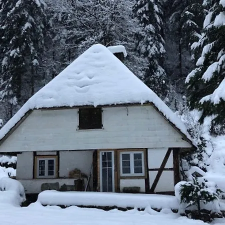 Waldbauernhof Apartment Hornberg Exterior photo