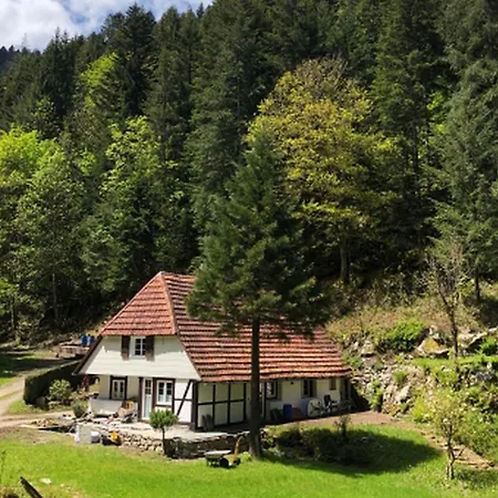 Waldbauernhof Apartment Hornberg Exterior photo