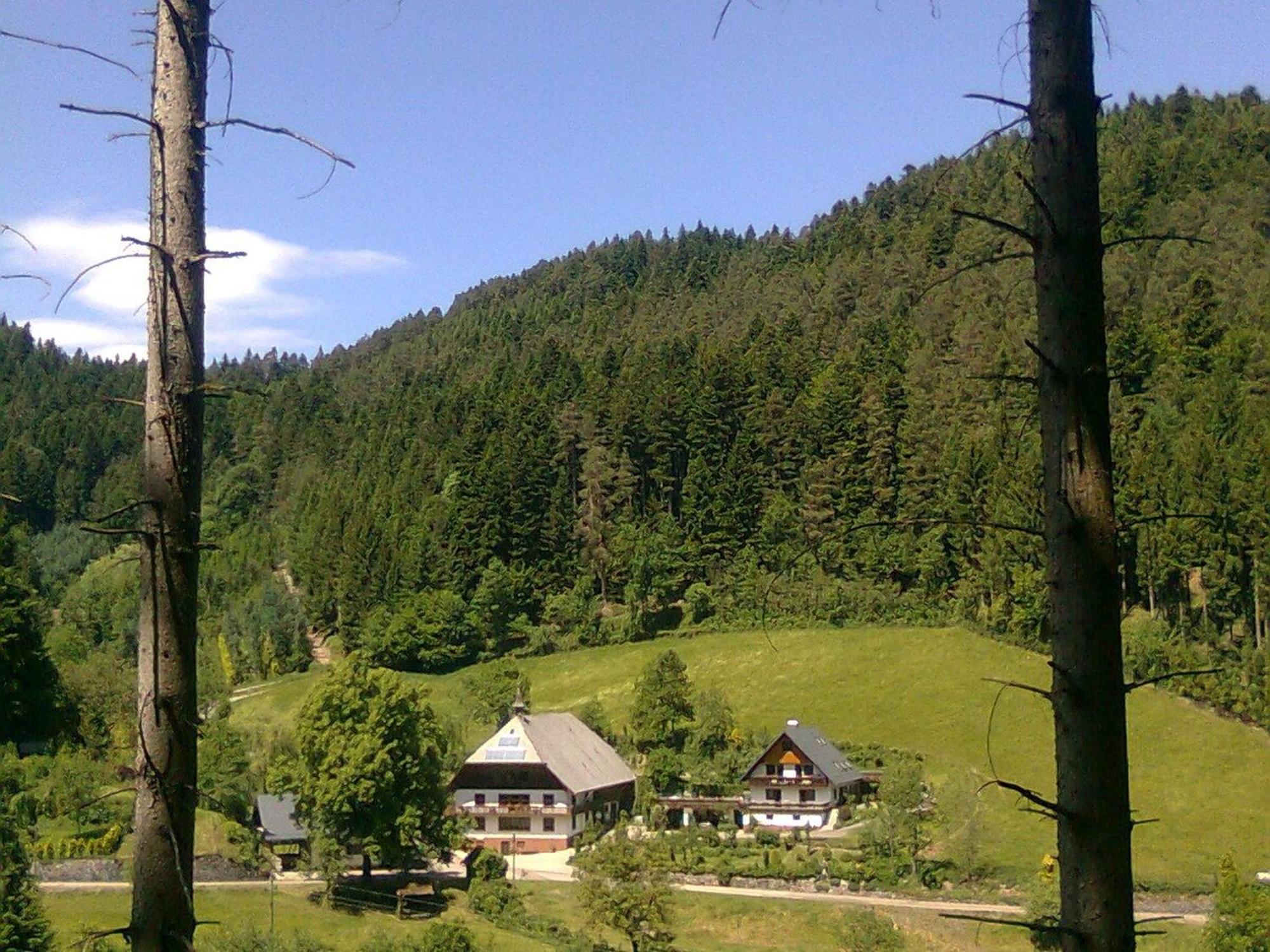 Waldbauernhof * Hornberg
