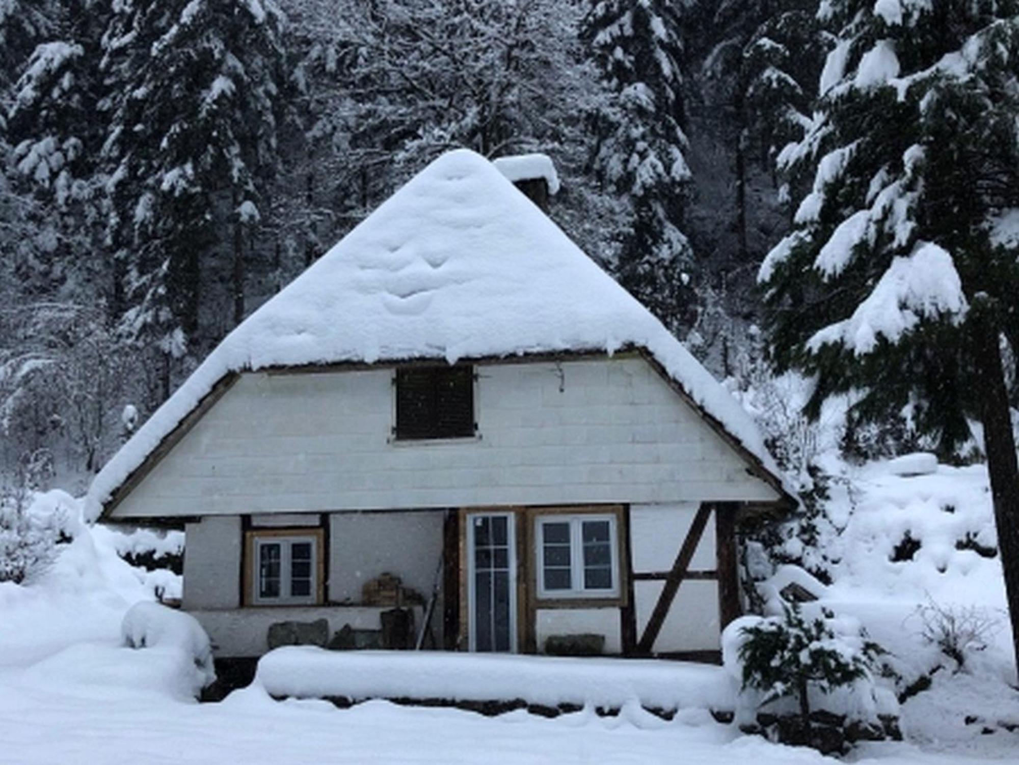 Waldbauernhof *