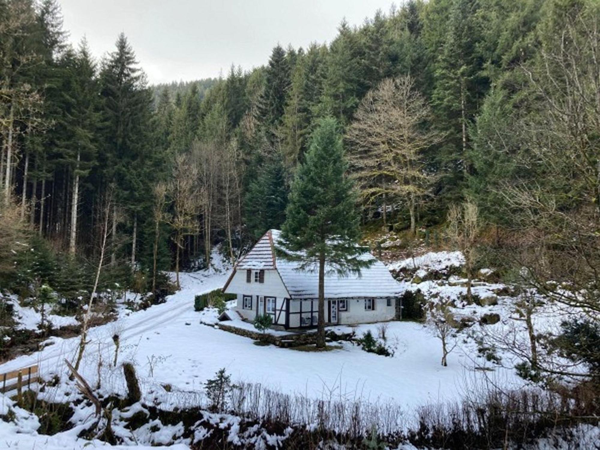 Waldbauernhof Lejlighed Hornberg
