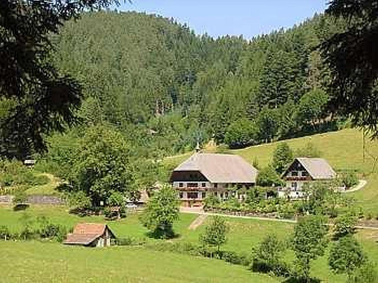 Waldbauernhof Hornberg
